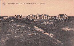 De Haan - KLEMSKERKE - CLEMSKERKE SUR MER - Preventorium Marin - Vue D'ensemble - De Haan