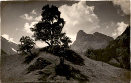 Bei Kandersteg - Gellihorn (3894) - Kandersteg