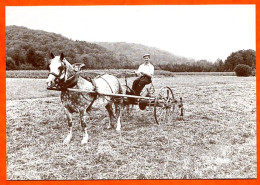 88 Vosges Vieux Métiers Fenaison Paysan Avec Cheval Carte Vierge TBE - Bauern