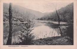 MANDERSCHEID ( Eifel  ) - Burgwelher - Manderscheid