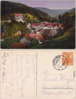 Ansichtskarte Bad Rippoldsau-Bad Rippoldsau-Schapbach Dorfpartie 1918  - Bad Rippoldsau - Schapbach