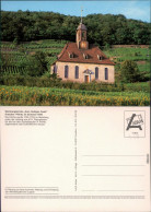 Pillnitz Weinbergskirche "Zum Heiligen Geist" Im Weinberg 1990 - Pillnitz