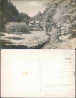 Ansichtskarte Polenz-Neustadt (Sachsen) Waltersdorfer Mühle Mit Bachlauf 1961 - Neustadt