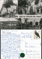 Hohwald (Sachsen) Kurhaus, Ortsmotiv, Überblick, Blick Zur Kuranlage 1983 - Hohwald (Sachsen)