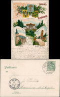 Carolagrün-Auerbach (Vogtland) Heraldik Litho Kirche, Turm, Kurhaus 1903 - Auerbach (Vogtland)