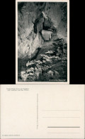 Ansichtskarte Syrau (Vogtland) Drachenhöhle - Versteinerte Wasserfall 1961 - Syrau (Vogtland)