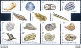 Definitiva. Conchiglie 1990. - Altri & Non Classificati