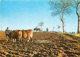 Animaux - Vaches - Traditions - Les Petits Métiers De Chez Nous - Le Laboureur - Paysans - CPM - Voir Scans Recto-Verso - Cows