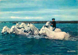 Animaux - Chevaux - Camargue - Chevaux Sortant Du Marais - Voir Scans Recto Verso  - Horses