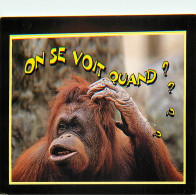 Animaux - Singes - Orang-Outan - Carte à Message - Carte Neuve - CPM - Voir Scans Recto-Verso - Singes