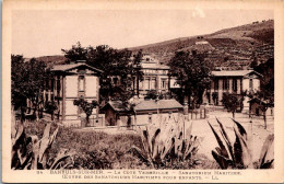 (02/06/24) 66-CPA BANYULS SUR MER - Banyuls Sur Mer