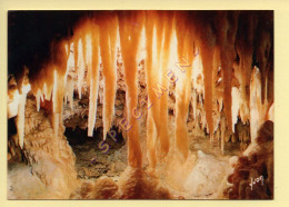 24. LES EYZIES - Capitale De La Préhistoire / Le Grand Roc – Colonnettes Et Stalactites (voir Scan Recto/verso) - Les Eyzies