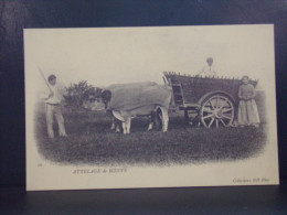 96270 . ATTELAGE DE BOEUFS . REPRODUCTION CECODI - Farmers