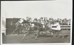 Carte Photo Ancienne Concours Hippique Identifié France Jockey - Sports