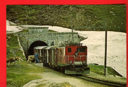 VBC-33 Furka-Oberalp Bahn In  Muttbach Obergoms Verladen Von Vieh Am Tunneleingang Am Tag Des Alpabzugs 15.9.1981 GF NG - Obergoms
