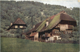 Schwarzwaldhaus Im Gutachtal - Gutach (Breisgau)