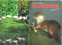 FOLDER  - DIERENPARK PLANCKENDAEL - MECHELEN - ZOO ANTWERPEN   - 99 FOTO'S  - 23 CM X 15,5 CM  (2 Scans) (BO 116) - Altri & Non Classificati