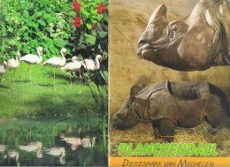 FOLDER  - PLANCKENDAEL - DIERENPARK VAN MECHELEN - ZOO ANTWERPEN   - 97 FOTO'S  - 23 CM X 15,5 CM  (2 Scans) (BO 117) - Other & Unclassified