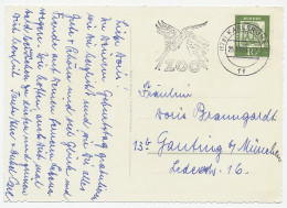 Postcard / Postmark Germany 1961 Bird - Parrot - Zoo Karlsruhe - Sonstige & Ohne Zuordnung