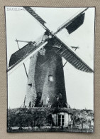 BAARLE-HERTOG - Molen H. Loots  - 14,5 X 10,5 Cm. (REPRO PHOTO !) - Places