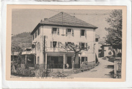 CPA :  14 X 9  - MIEUSSY  -  HOTEL  DES  ALPES - Mieussy