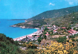 1974-ISOLA ELBA Cavoli Panorama Viaggiata Affrancata Guardia Finanza Lire 40 - Livorno