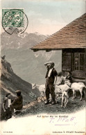 Auf Hoher Alp Im Kienthal (5141) * 16. 5. 1905 - Reichenbach Im Kandertal