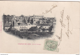 CPA 72 - CHATEAU-DU-LOIR -  A Vol D'oiseau - Chateau Du Loir