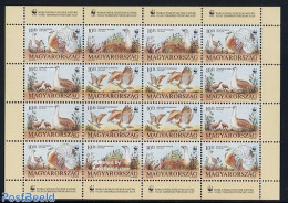 Hungary 1994 WWF, Birds M/s, Mint NH, Nature - Birds - World Wildlife Fund (WWF) - Unused Stamps
