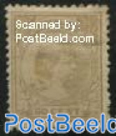 Netherlands 1891 50c, Bright Sandcolour, Stamp Out Of Set, Unused (hinged) - Nuovi