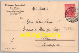 Peine - Rittergut Rosenthal - Postkarte 1919 - Peine
