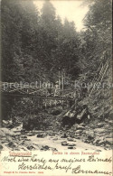 71839908 Ravennaschlucht Bruecke Hinterzarten - Hinterzarten