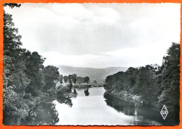 88 REMIREMONT Les Bords De L'eau Dentelée Carte Vierge TBE - Remiremont