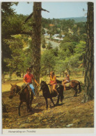 Troodos / Τροόδος - Horseriding On Troodos - Cipro