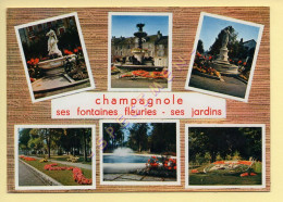 39. CHAMPAGNOLE – Ses Fontaines Fleuries – Ses Jardins – Multivues (voir Scan Recto/verso) - Champagnole