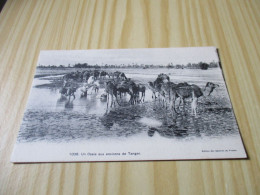 CPA Un Oasis Aux Environs De Tanger (Maroc).Carte Animée. - Tanger