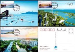 China Maximum Card,2024-9 Chaohu Lake，3 Pcs - Cartes-maximum