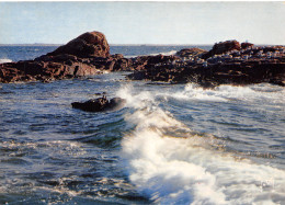 56-QUIBERON-N°2779-A/0241 - Quiberon