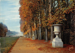 78-VERSAILLES LE CHÂTEAU-N°2781-B/0081 - Versailles (Château)