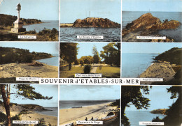 22-ETABLES SUR MER-N°2781-B/0355 - Etables-sur-Mer