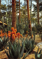 75-PARIS FLORALIES INTERNATIONALES 1969-N°2782-C/0081 - Expositions