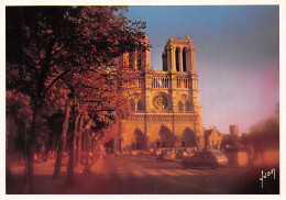 75-PARIS NOTRE DAME-N°2784-A/0085 - Notre-Dame De Paris