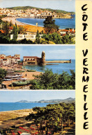 66-BANYULS SUR MER-N°2798-B/0021 - Banyuls Sur Mer