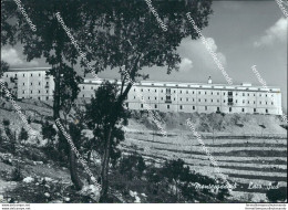 Bi195 Cartolina Montecassino Lato Sud Provincia Di Frosinone - Frosinone