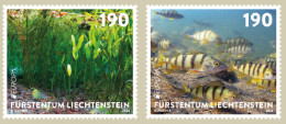 Liechtenstein 2024 Europa CEPT Undewater Fauna And Flora Fishes River Algae Set Of 2 Stamps MNH - Poissons