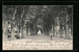 AK Aubonne, Promenade Du Chene  - Aubonne