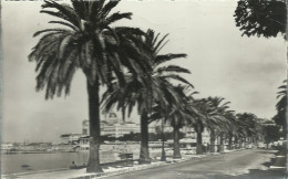 Saint-Raphaël - Boulevard Félix-Martin - (P) - Saint-Raphaël