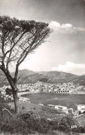 66-BANYULS SUR MER-N°3940-E/0229 - Banyuls Sur Mer