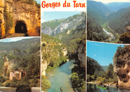 48-GORGES DU TARN-N°4002-A/0347 - Gorges Du Tarn