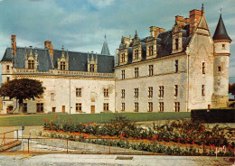 37-AMBOISE-N°4002-C/0391 - Amboise